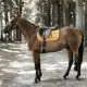 Kentucky Springonderlegger Velvet Cob en Pony